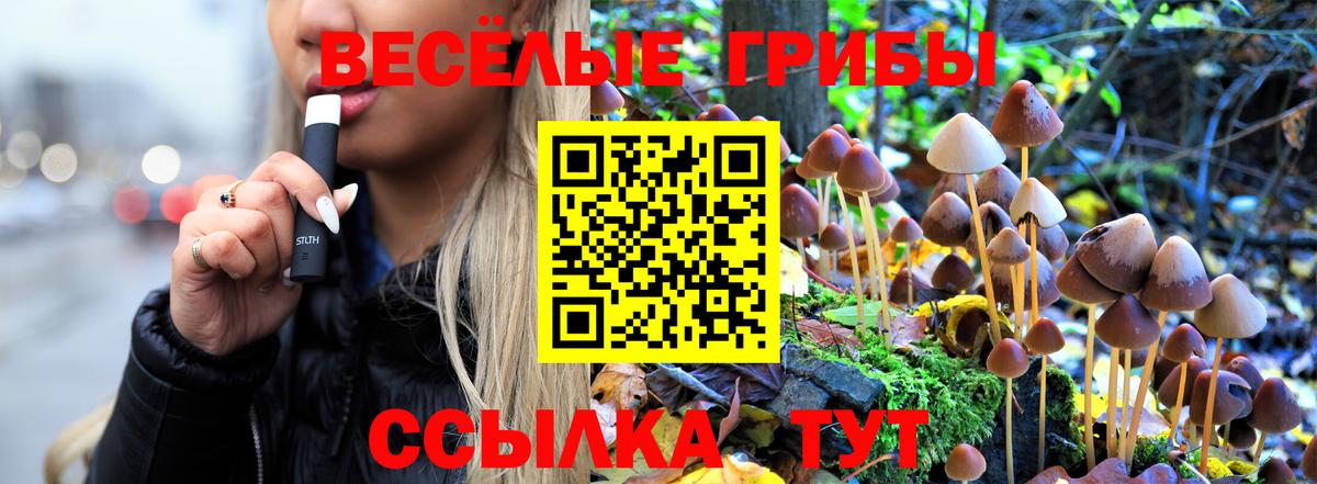 Армавир  Галлюциногенные грибы ЛСД  Вход с VPN  цена   Псилоцибиновые грибы Magic Shrooms 